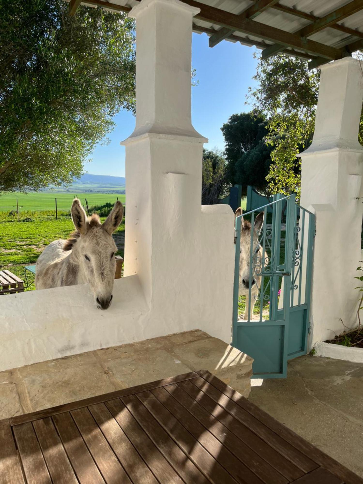 La Casa De Los Geranios Tahivilla エクステリア 写真